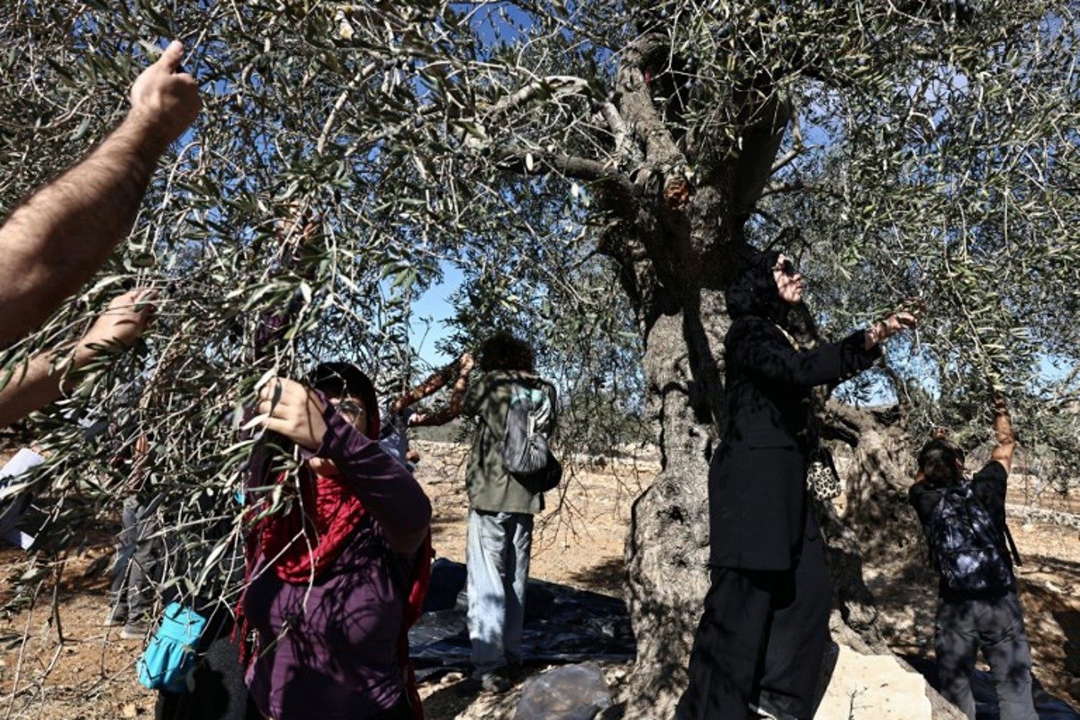 IL BELGIO VIETA LE IMPORTAZIONI DAI TERRITORI PALESTINESI OCCUPATI