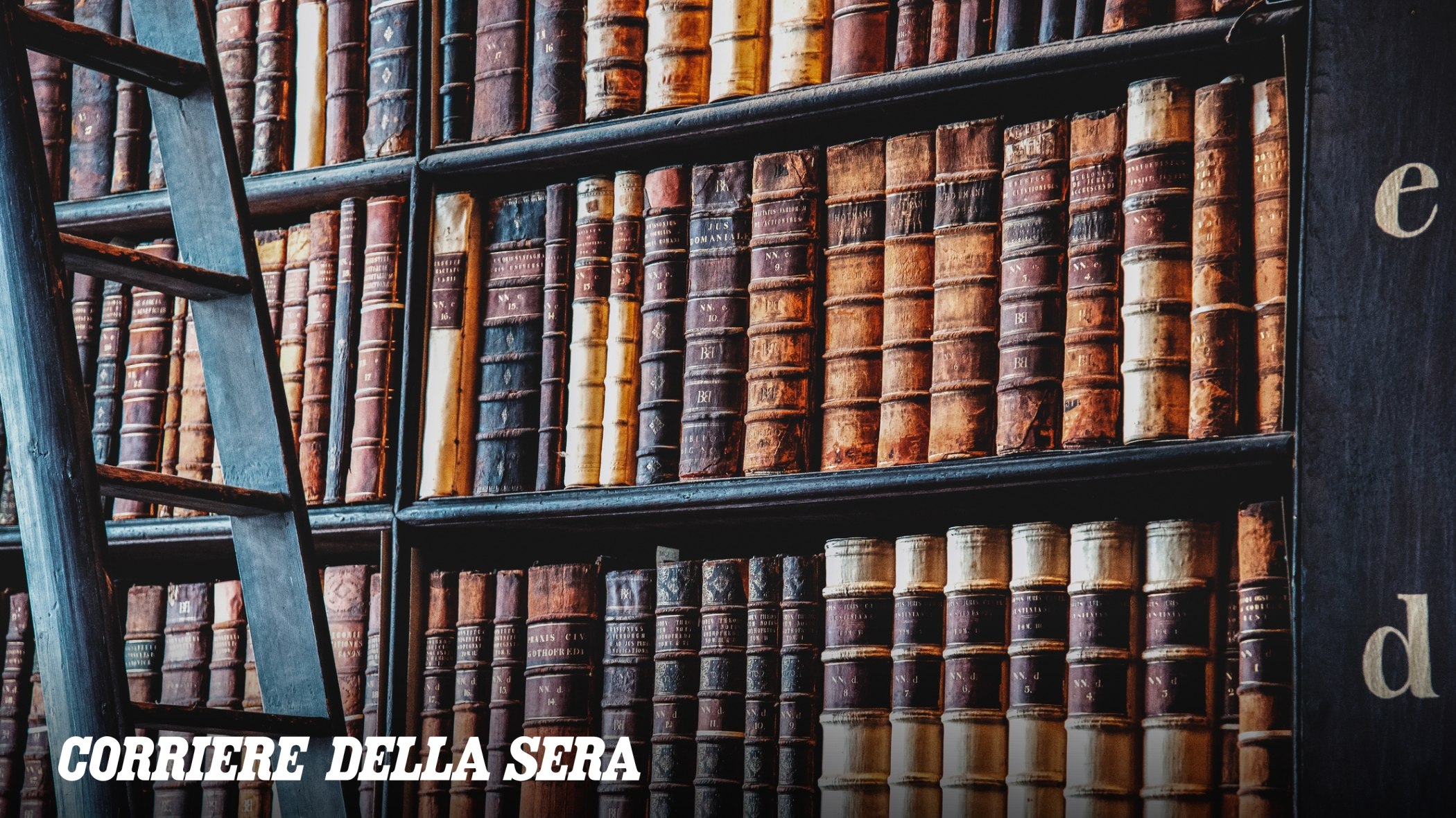 LE AZIENDE DI INTELLIGENZA ARTIFICIALE STANNO ACQUISTANDO (E DISTRUGGENDO) TONNELATE DI LIBRI DI CARTA. LE AZIENDE DI INTELLIGENZA ARTIFICIALE STANNO ACQUISTANDO (E DISTRUGGENDO) TONNELATE DI LIBRI DI CARTA.