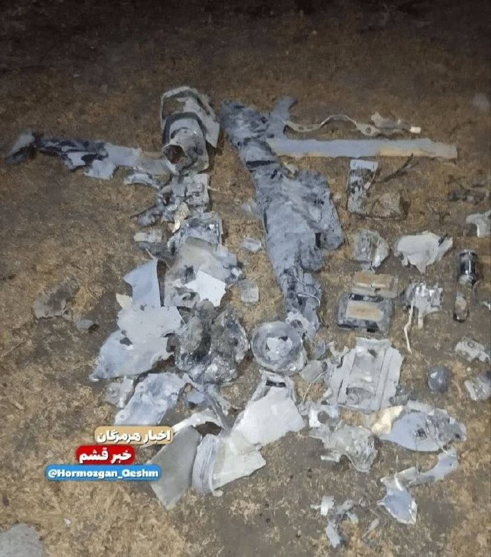 L’IRAN ABBATTE UN DRONE AMERICANO E UNO ISRAELIANO L’IRAN ABBATTE UN DRONE AMERICANO E UNO ISRAELIANO